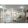 自然展示の写真
