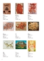 Shu Ogawara Collection