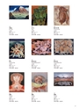 Shu Ogawara Collection