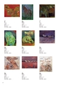 Shu Ogawara Collection